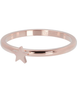 Vulring Symbol Star Rosé 2mm
